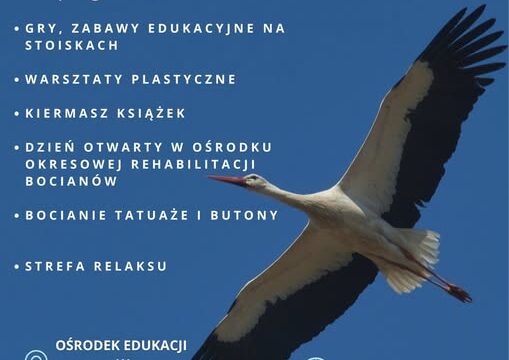31 maja zapraszamy do Krutyni na Dzień Bociana Białego